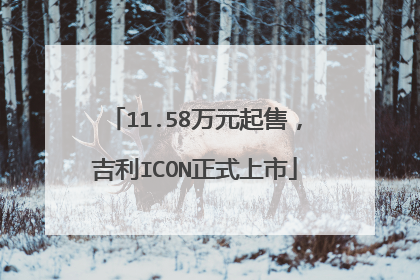 11.58万元起售，吉利ICON正式上市