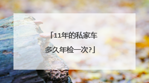 11年的私家车多久年检一次?