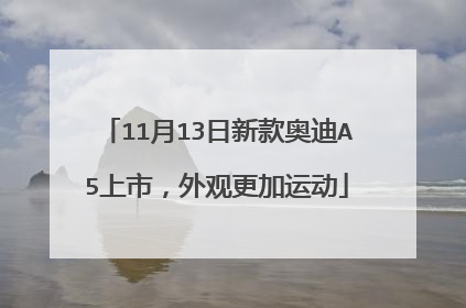 11月13日新款奥迪A5上市，外观更加运动