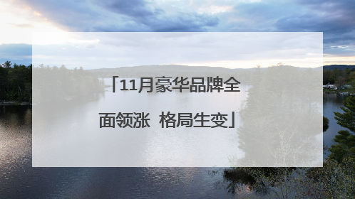11月豪华品牌全面领涨 格局生变