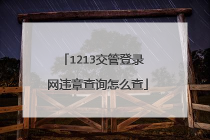 1213交管登录网违章查询怎么查