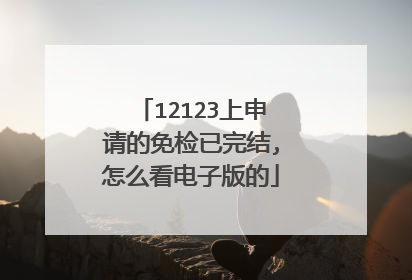 12123上申请的免检已完结,怎么看电子版的