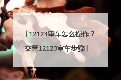 12123审车怎么操作？交管12123审车步骤