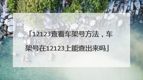 12123查看车架号方法，车架号在12123上能查出来吗