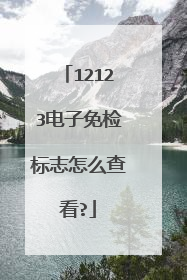 12123电子免检标志怎么查看?