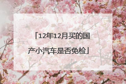 12年12月买的国产小汽车是否免检