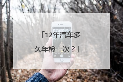 12年汽车多久年检一次？