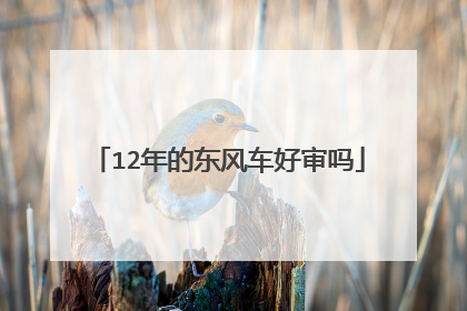 12年的东风车好审吗