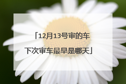 12月13号审的车下次审车最早是哪天