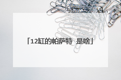 12缸的帕萨特 是啥