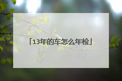 13年的车怎么年检