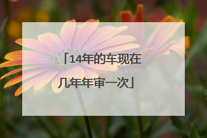 14年的车现在几年年审一次