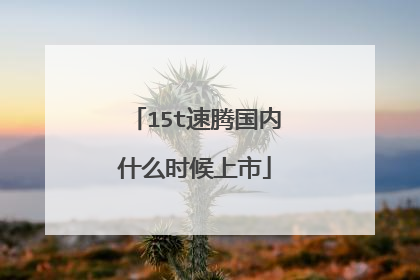 15t速腾国内什么时候上市