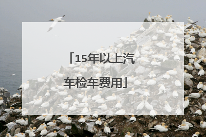 15年以上汽车检车费用