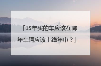 15年买的车应该在哪年车辆应该上线年审？