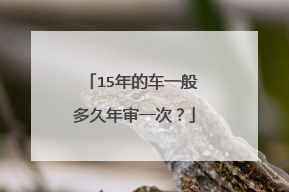 15年的车一般多久年审一次？