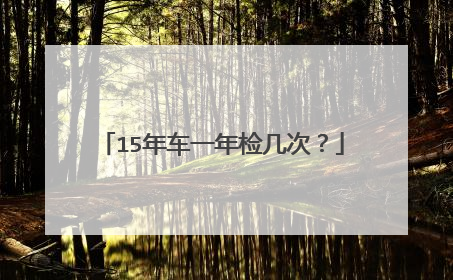 15年车一年检几次？