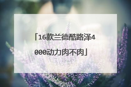 16款兰德酷路泽4000动力肉不肉