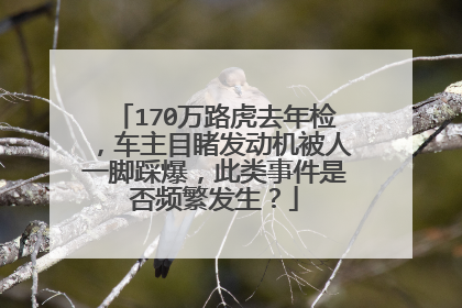 170万路虎去年检，车主目睹发动机被人一脚踩爆，此类事件是否频繁发生？