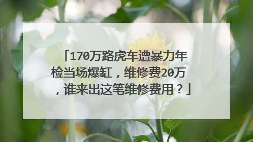 170万路虎车遭暴力年检当场爆缸，维修费20万，谁来出这笔维修费用？
