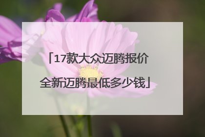 17款大众迈腾报价 全新迈腾最低多少钱