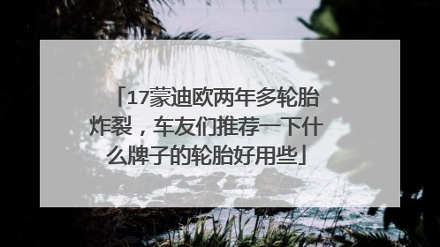 17蒙迪欧两年多轮胎炸裂，车友们推荐一下什么牌子的轮胎好用些
