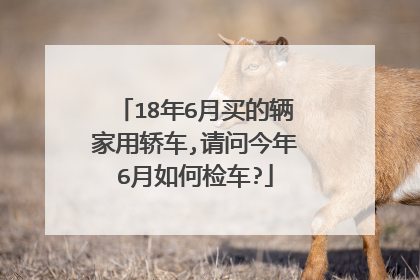 18年6月买的辆家用轿车,请问今年6月如何检车?
