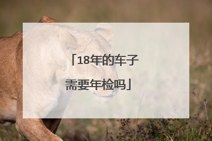 18年的车子需要年检吗