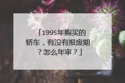 1995年购买的轿车，有没有报废期？怎么年审？