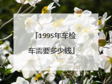 1995年车检车需要多少钱
