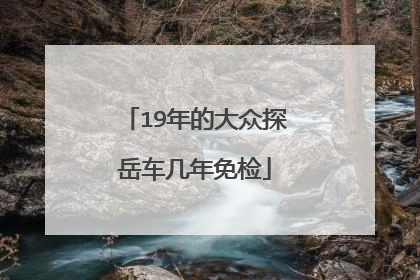 19年的大众探岳车几年免检
