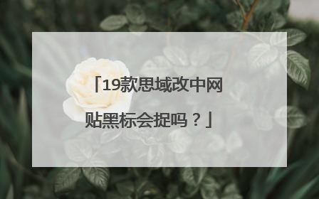 19款思域改中网贴黑标会捉吗？