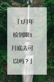 1月年检到期1月底去可以吗？