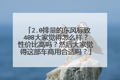 2.0排量的东风标致408大家觉得怎么样？性价比高吗？然后大家觉得这部车商用合适吗？