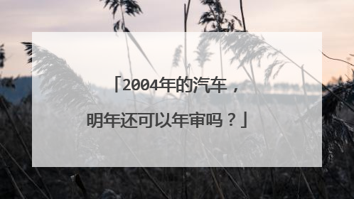 2004年的汽车，明年还可以年审吗？