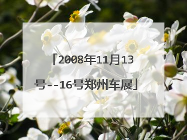 2008年11月13号--16号郑州车展