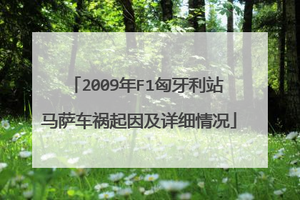 2009年F1匈牙利站马萨车祸起因及详细情况