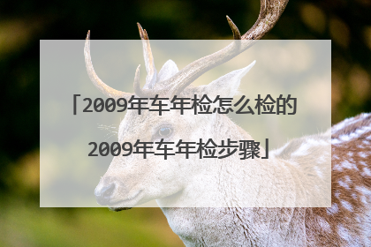 2009年车年检怎么检的 2009年车年检步骤