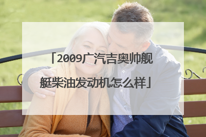 2009广汽吉奥帅舰艇柴油发动机怎么样