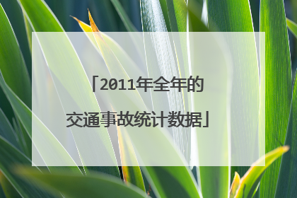2011年全年的交通事故统计数据