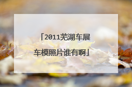 2011芜湖车展车模照片谁有啊