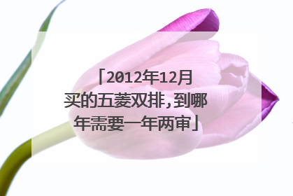 2012年12月买的五菱双排,到哪年需要一年两审