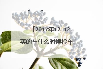 2017年12.12买的车什么时候检车