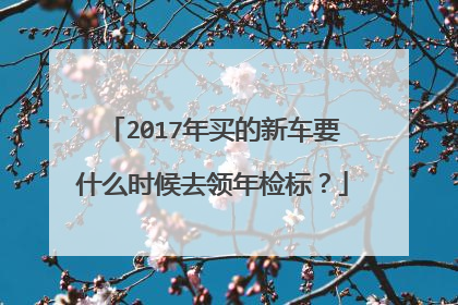 2017年买的新车要什么时候去领年检标？