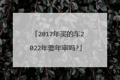 2017年买的车2022年要年审吗?