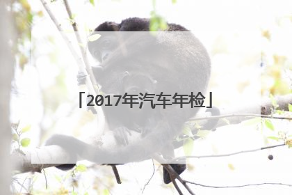 2017年汽车年检
