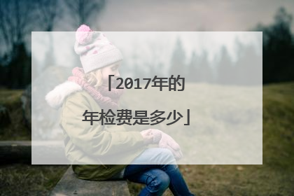 2017年的年检费是多少