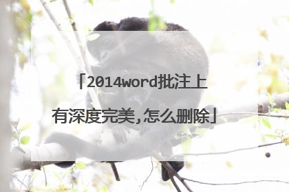 2014word批注上有深度完美,怎么删除