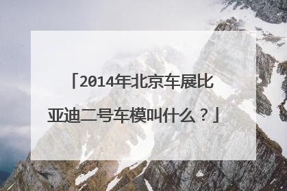 2014年北京车展比亚迪二号车模叫什么？