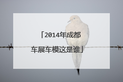 2014年成都车展车模这是谁